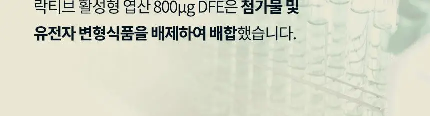 락티브 활성형 엽산 800ug DFE 56정 (8주분) 상세페이지 12