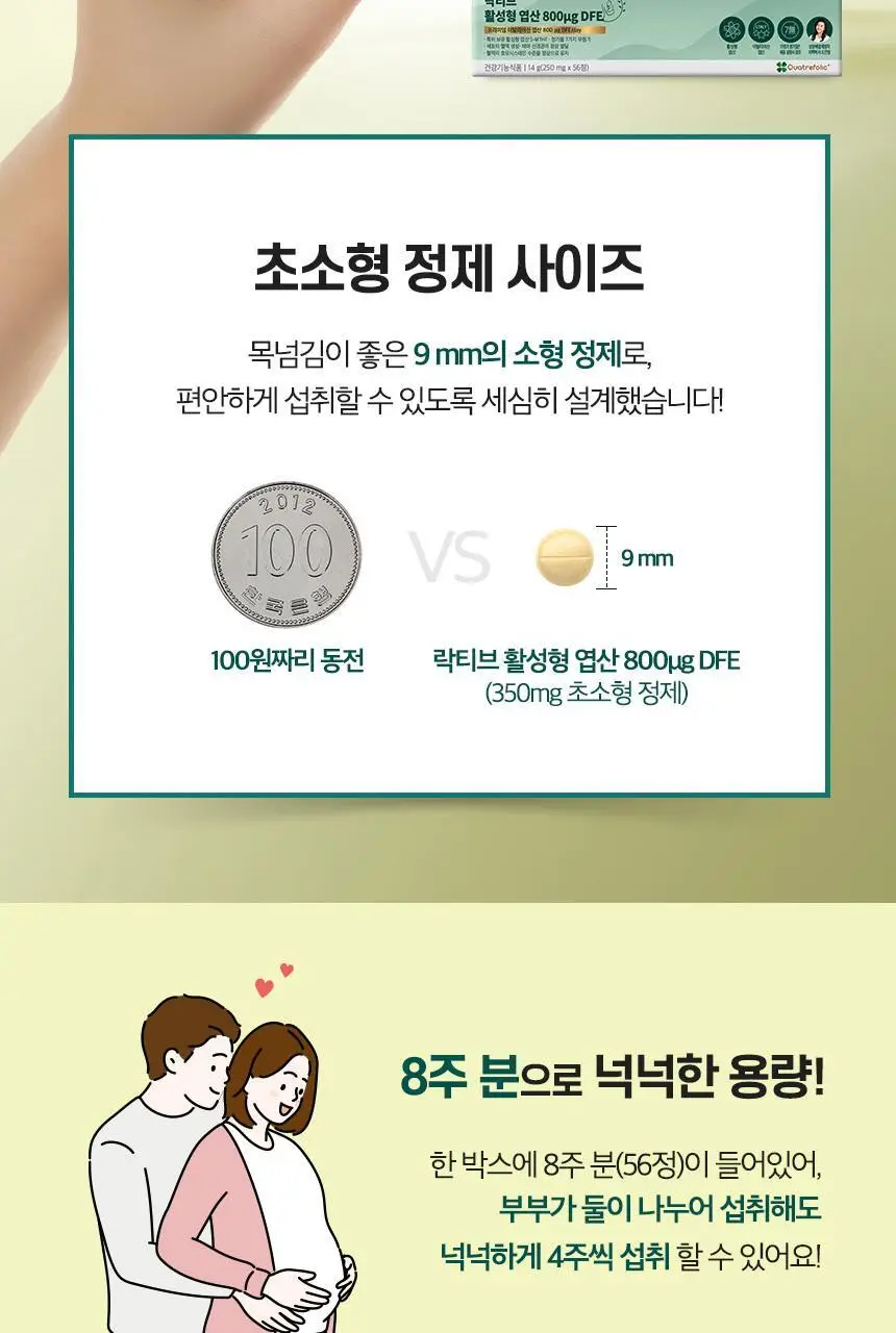 락티브 활성형 엽산 800ug DFE 56정 (8주분) 상세페이지 30