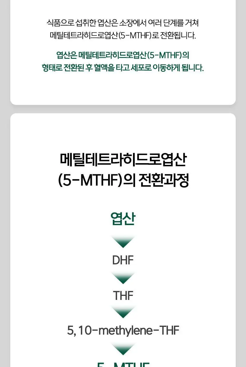 락티브 활성형 엽산 800ug DFE 56정 (8주분) 상세페이지 37