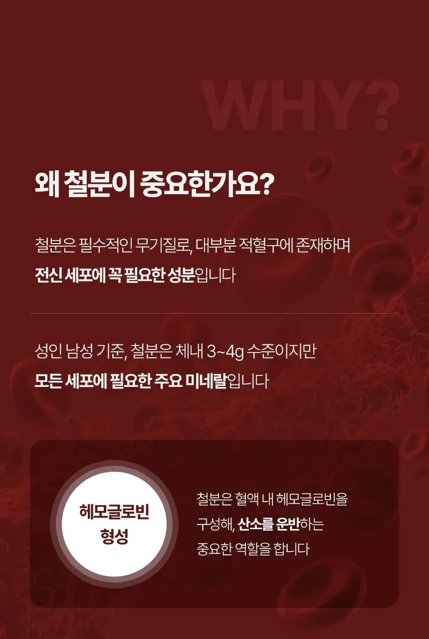 스파톤 애플 4종 (7일/14일/28일/42일) 상세페이지 22