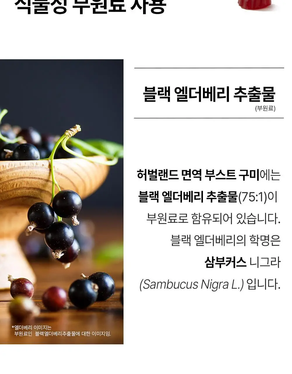 허벌랜드 면역 부스트 구미 (1개월분) 상세페이지 13