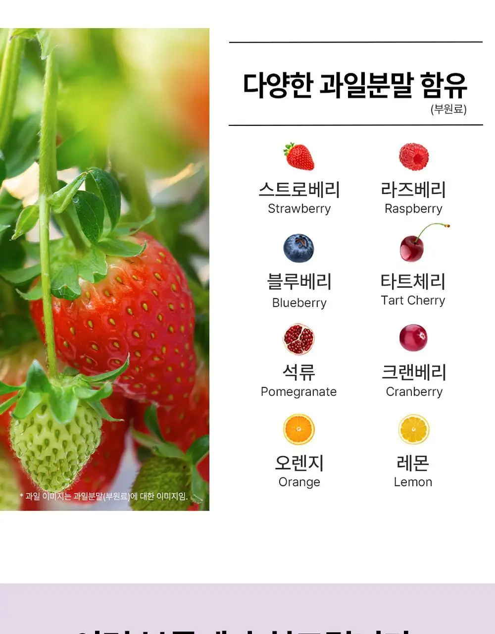 허벌랜드 면역 부스트 구미 (1개월분) 상세페이지 15