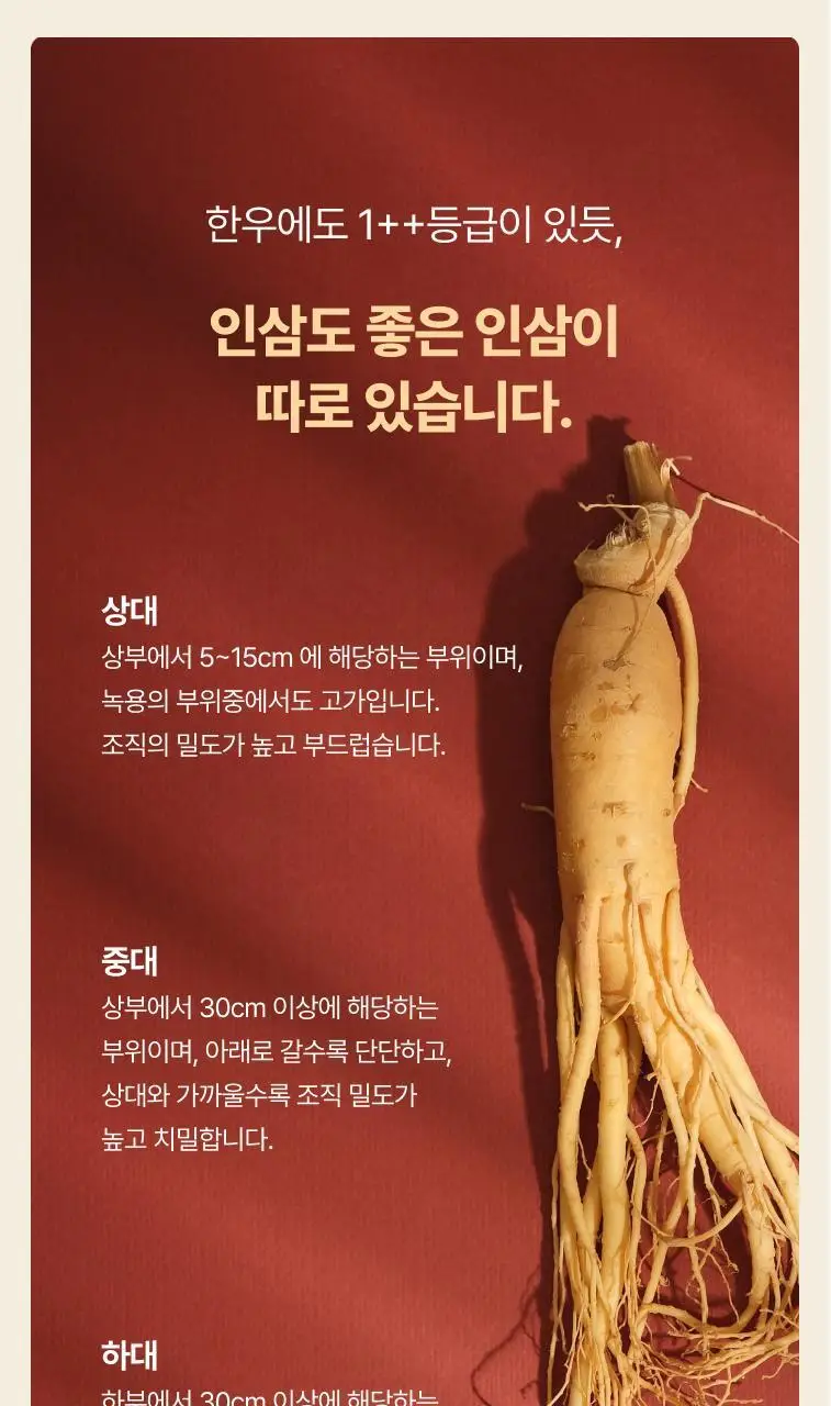 풍년보감 고려홍삼정 투데이굿타임 홍삼스틱 15g x 100포 상세페이지 27