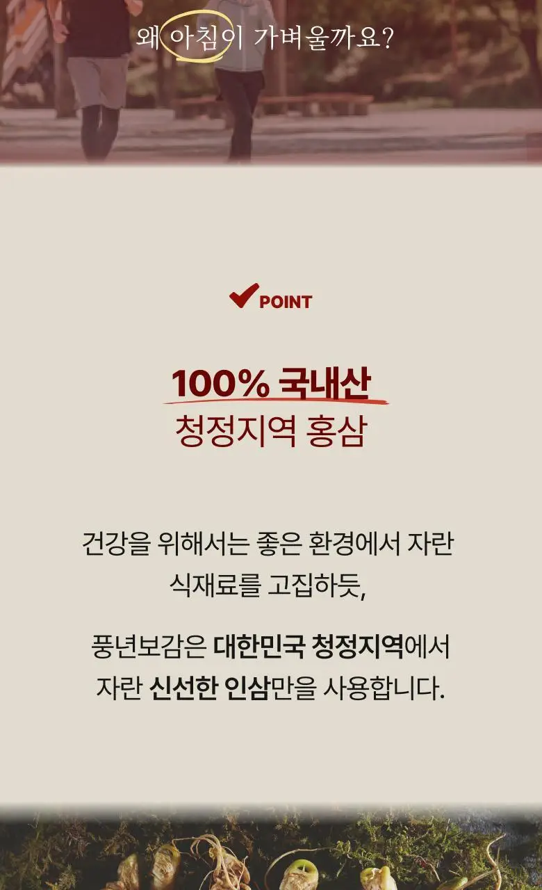 풍년보감 6년근 고려홍삼정 에브리데이100P 홍삼스틱 15g x 100포 상세페이지 22