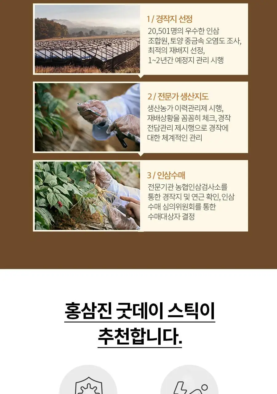 한삼인 굿데이스틱 100포 1세트 (100일분) + 쇼핑백 상세페이지 12