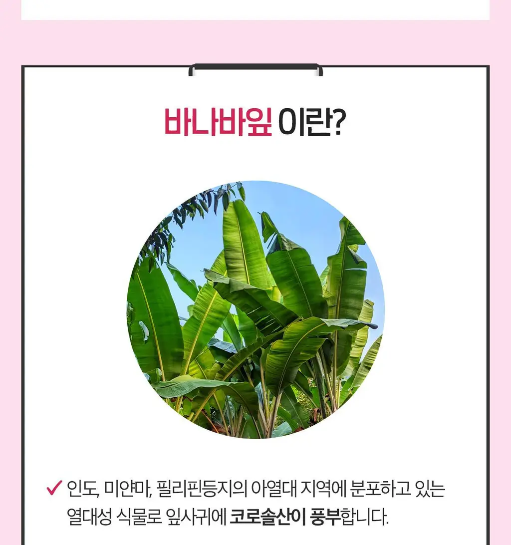 닥터린 GLPLAN 지엘플랜 혈당 컷 & 다이어트 유산균 20캡슐 (20일분) 상세페이지 23