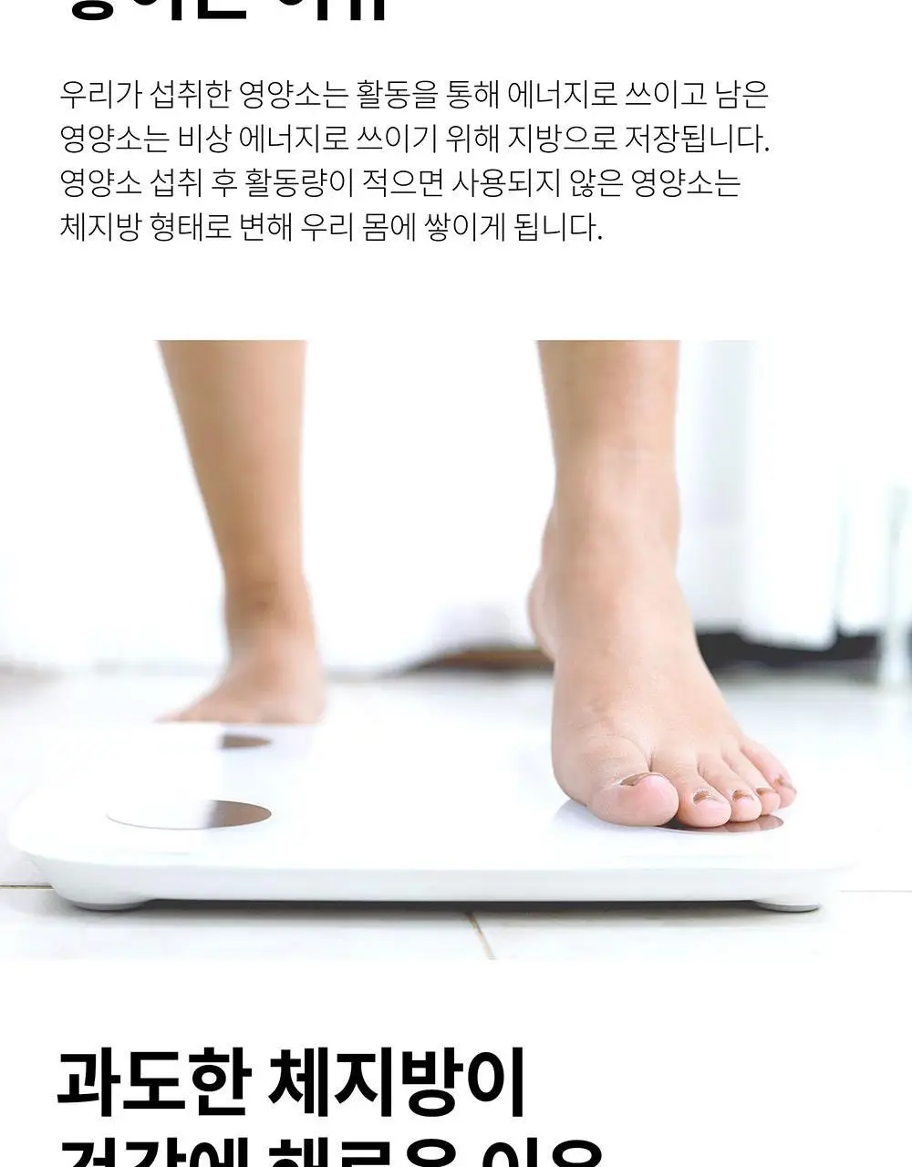 BNR17 다이어트 유산균 비에날씬 슬림+ 14포 (2주분) 상세페이지 29