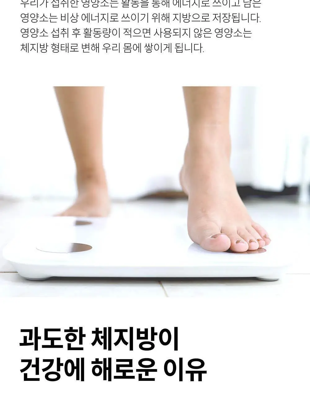 BNR17 다이어트유산균 비에날씬프로 30캡슐 (1개월분) 상세페이지 26
