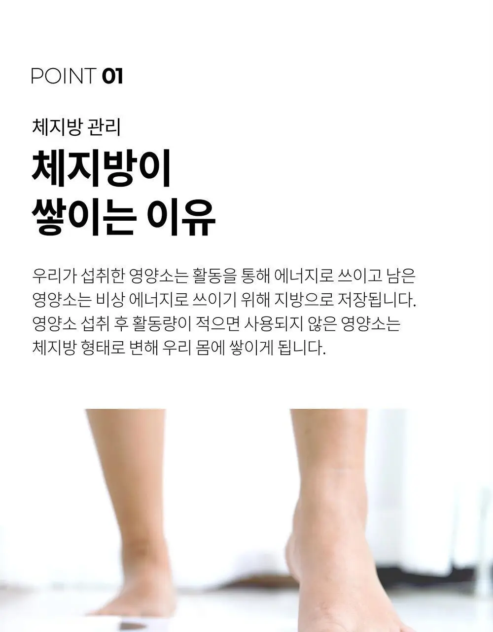 BNR17 다이어트유산균 비에날씬플러스 30포*6박스 (6개월분) 상세페이지 29