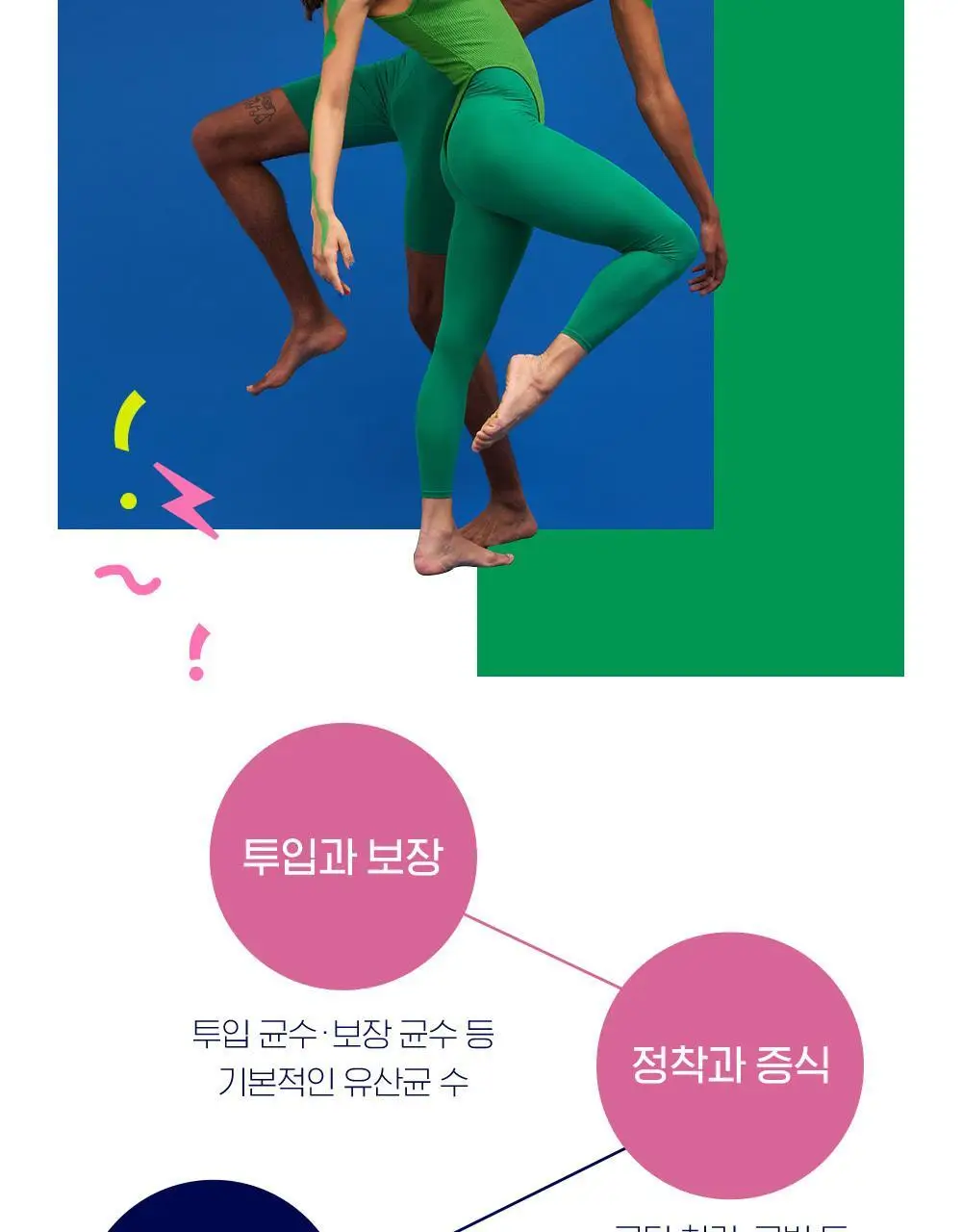 락토바이브 지노솔루션 스틱 30포 (1개월분) 상세페이지 14
