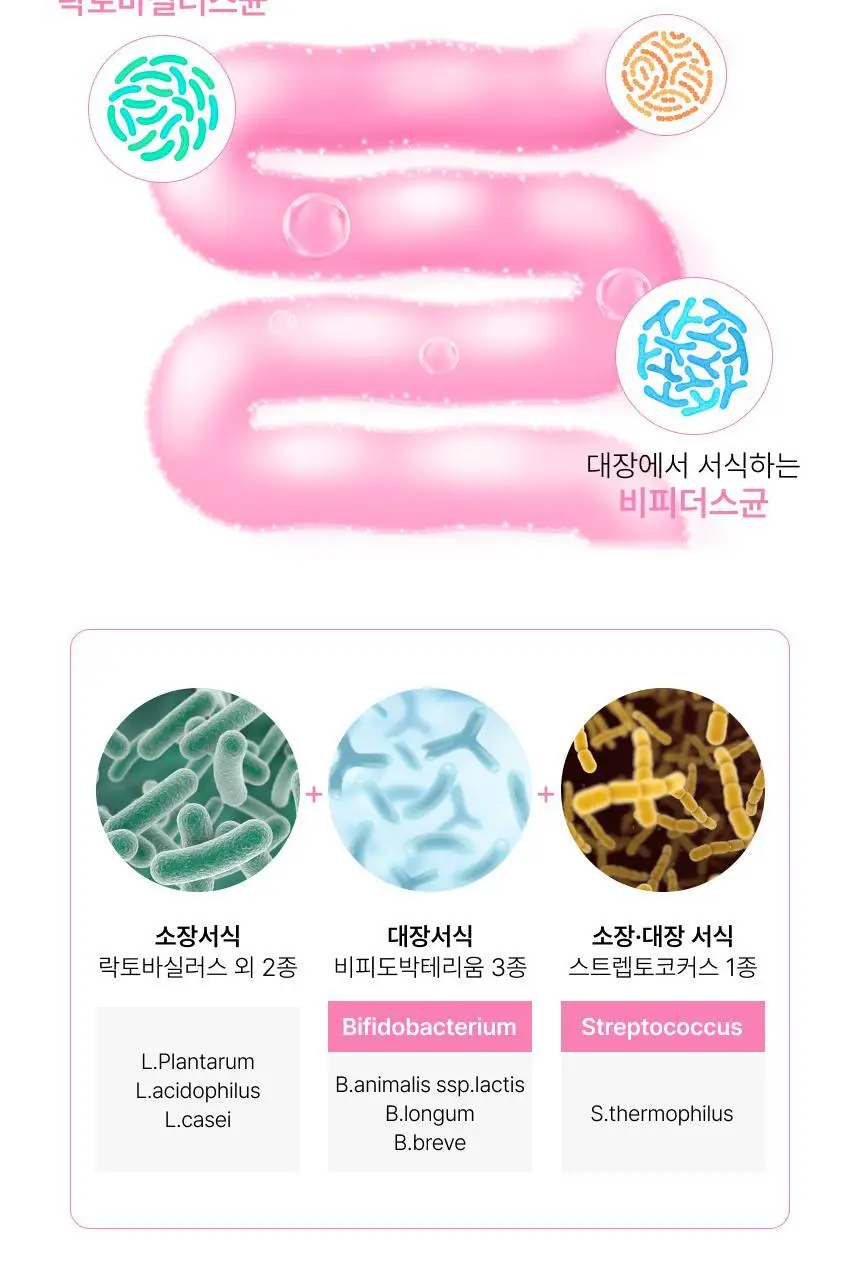 비비랩 더블유 이너케어 50억 보장 질 유래 유산균 30캡슐 (1개월분) 상세페이지 9