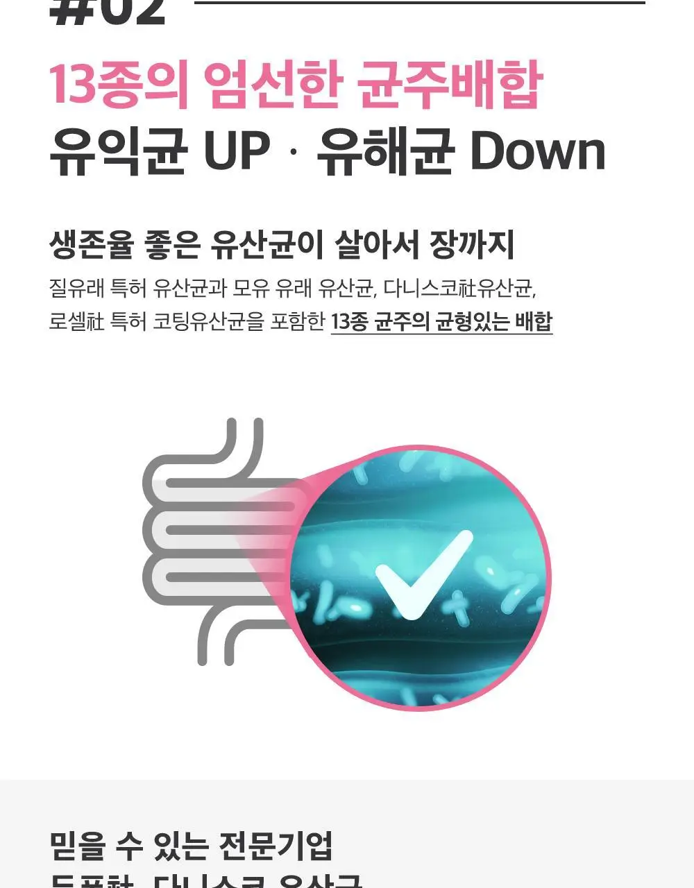 스키니랩 질유래 50억유산균 시크릿 프로바이오틱스 30캡슐 1박스 (30일분) 상세페이지 4