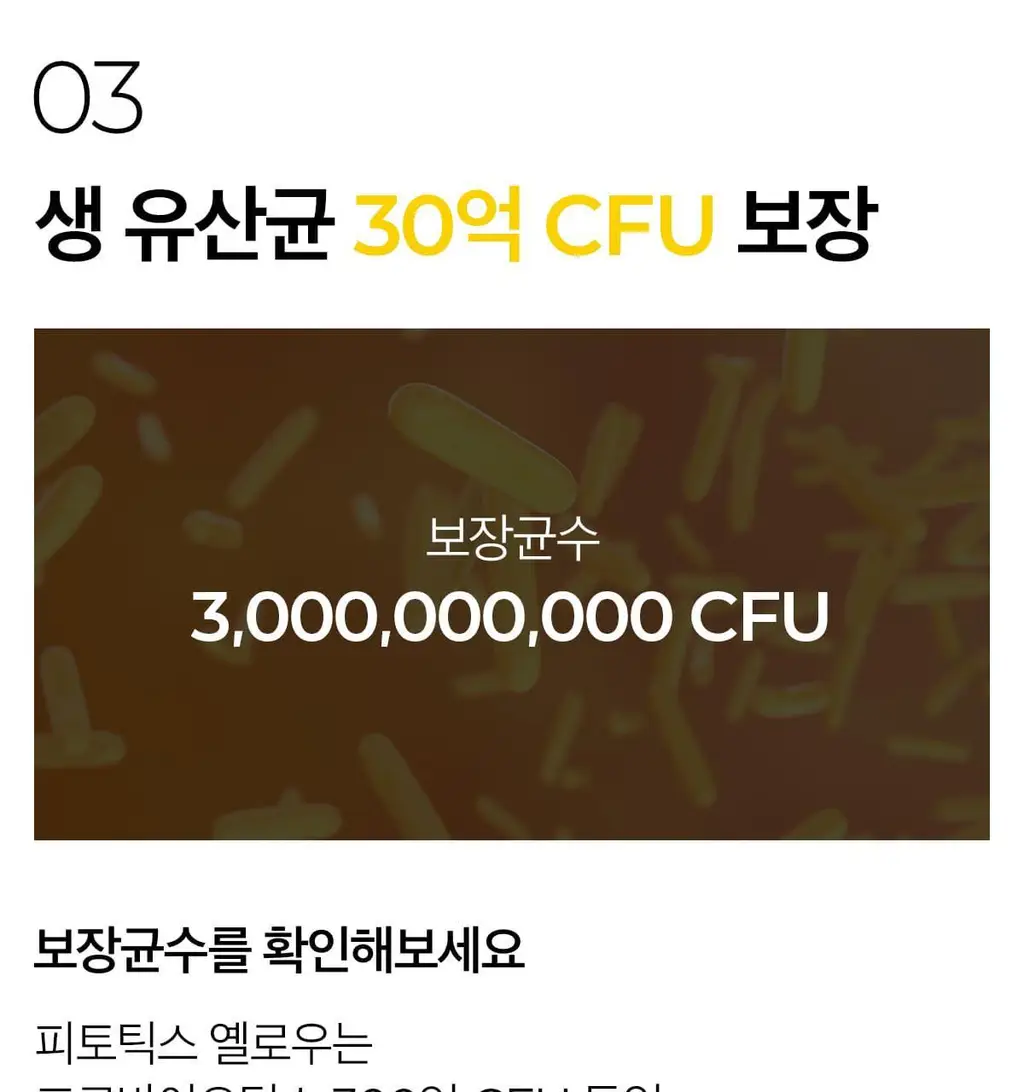 피토틱스 한국인 질 유래 유산균 옐로우 1box (30캡슐/1개월분) 상세페이지 13
