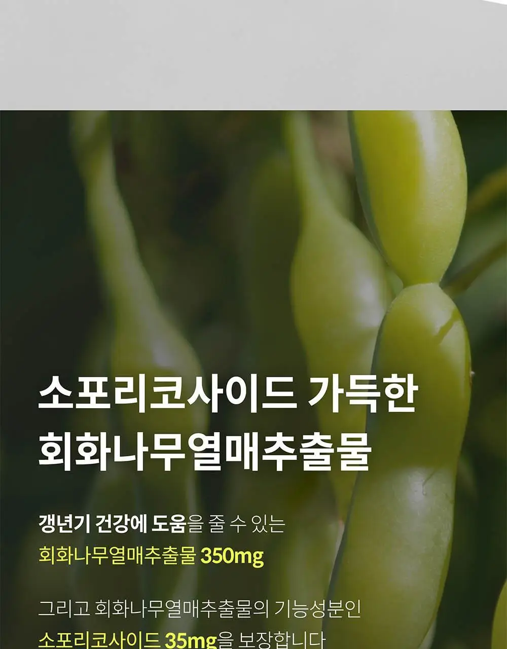 BNR17 갱년기유산균 비에날퀸 60캡슐*6박스 (6개월분) 상세페이지 6