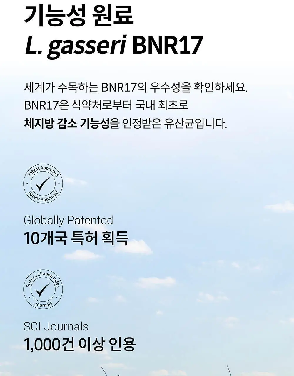 BNR17 갱년기유산균 비에날퀸 60캡슐*6박스 (6개월분) 상세페이지 9