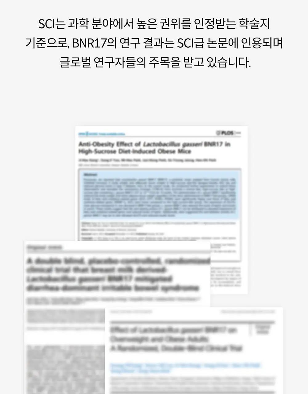 BNR17 갱년기유산균 비에날퀸 60캡슐*6박스 (6개월분) 상세페이지 11