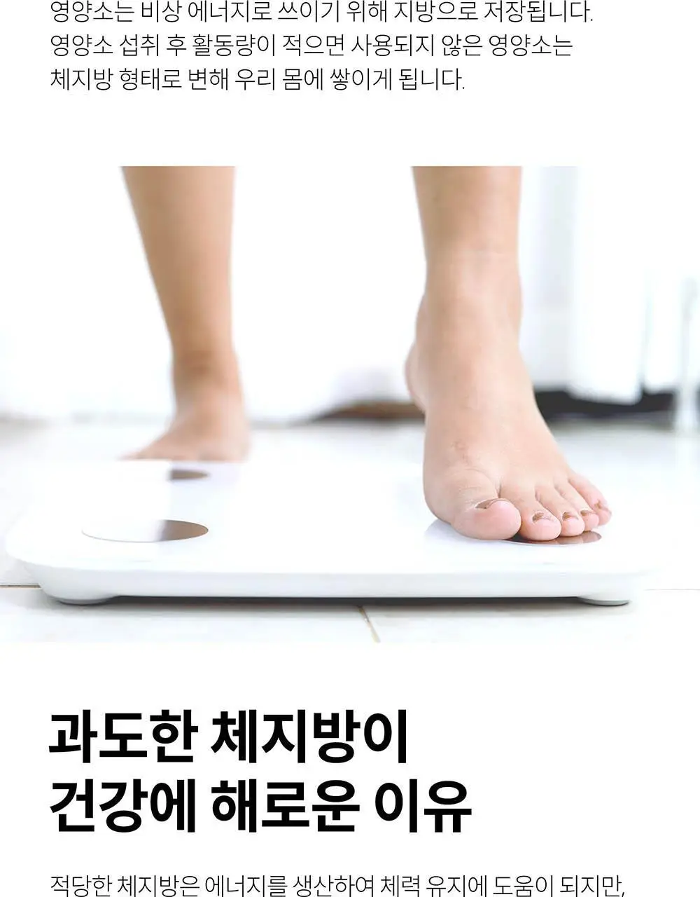 BNR17 갱년기유산균 비에날퀸 60캡슐*6박스 (6개월분) 상세페이지 30