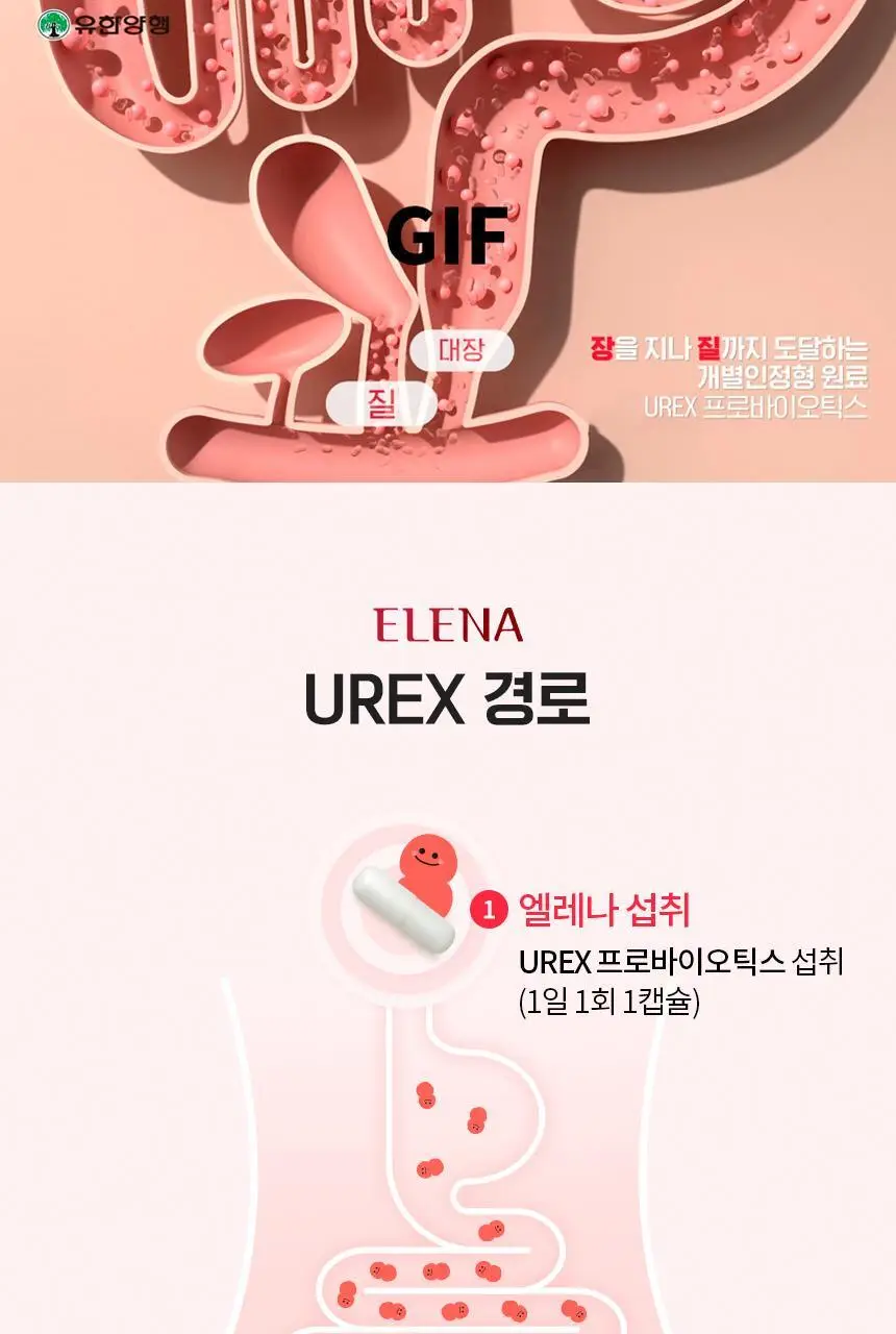 엘레나 UREX 프로바이오틱스 15캡슐 상세페이지 15