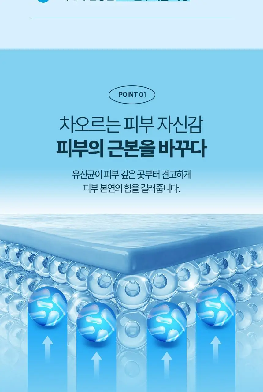 CJ 바이오코어 피부면역유산균 100억 30캡슐 (1개월분) 상세페이지 8