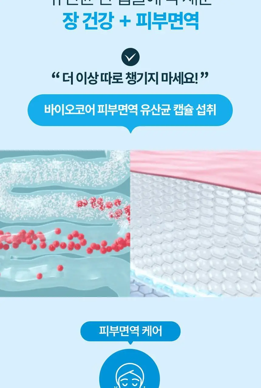 CJ 바이오코어 피부면역유산균 100억 30캡슐 (1개월분) 상세페이지 11