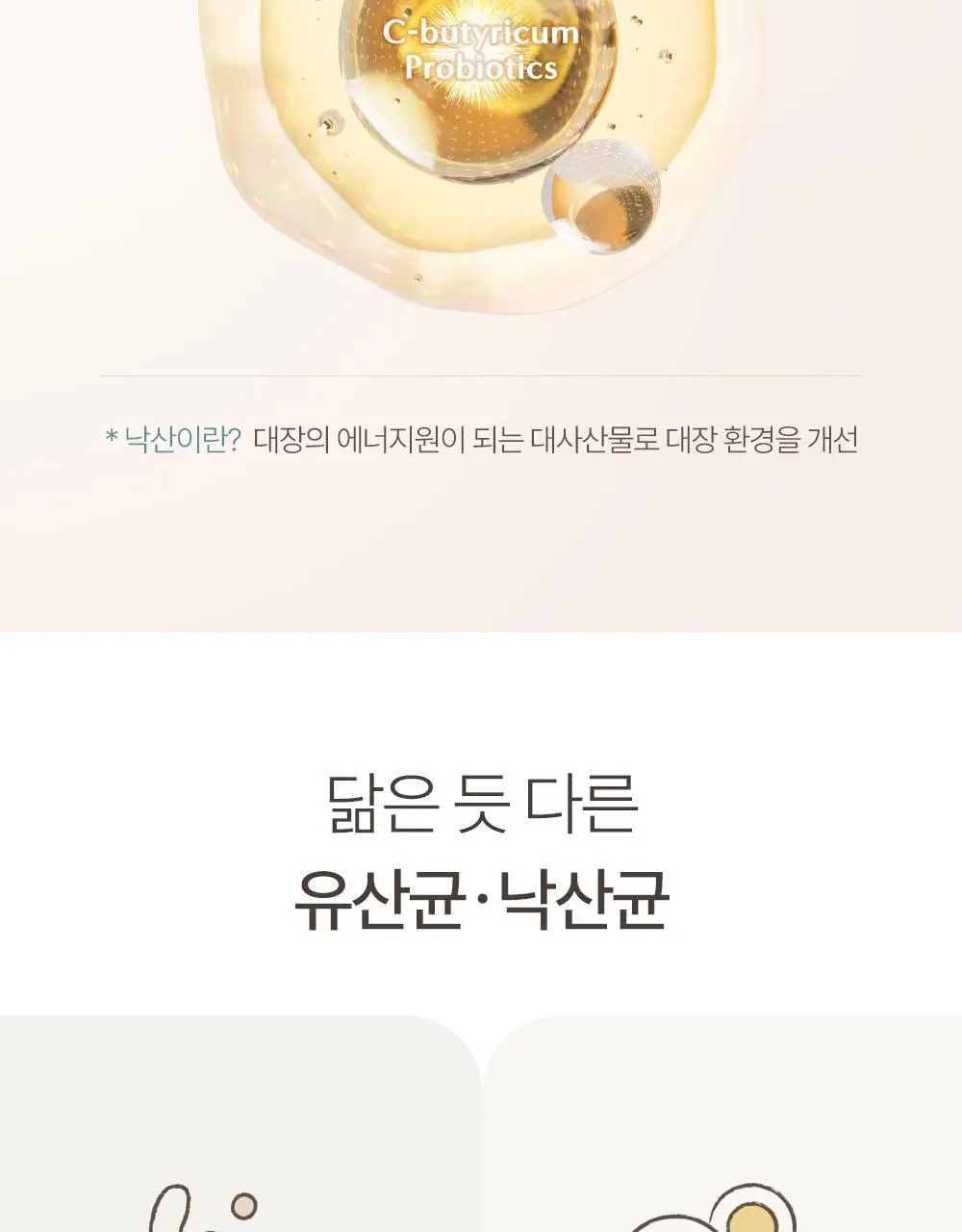 네츄럴굿띵스 생생낙산균 프로바이오틱스 7포 (7일분) 상세페이지 18