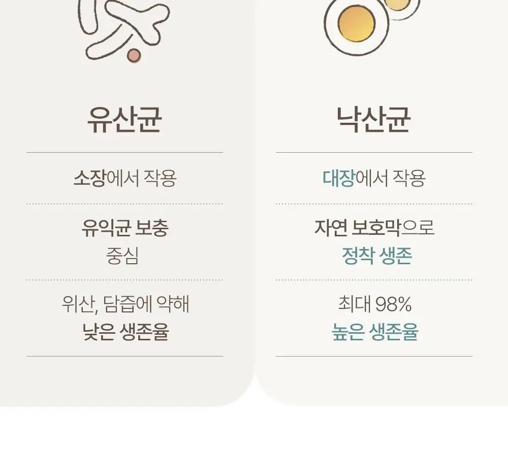 네츄럴굿띵스 생생낙산균 프로바이오틱스 7포 (7일분) 상세페이지 20