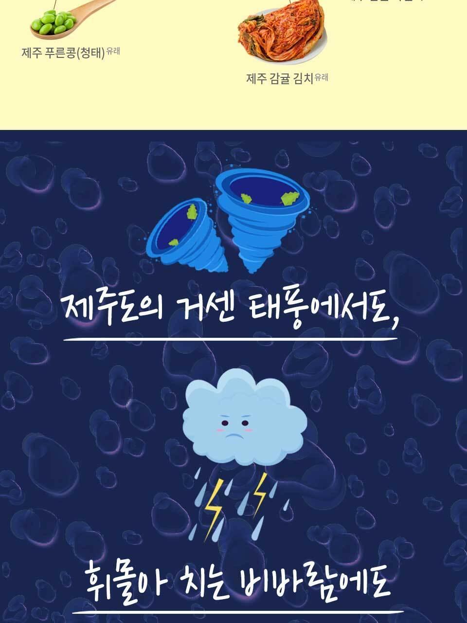 락토톡 생유산균 +C 60포 (2개월분) 상세페이지 7
