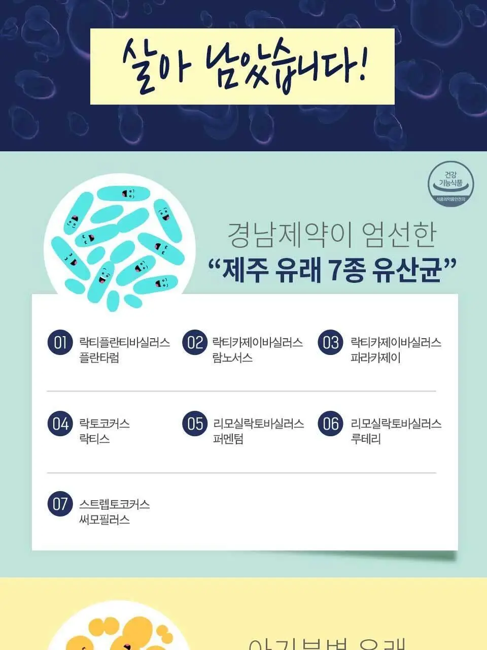 락토톡 생유산균 +C 60포 (2개월분) 상세페이지 10