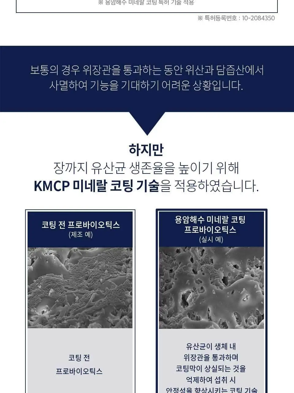 락토톡 생유산균 +C 60포 (2개월분) 상세페이지 16