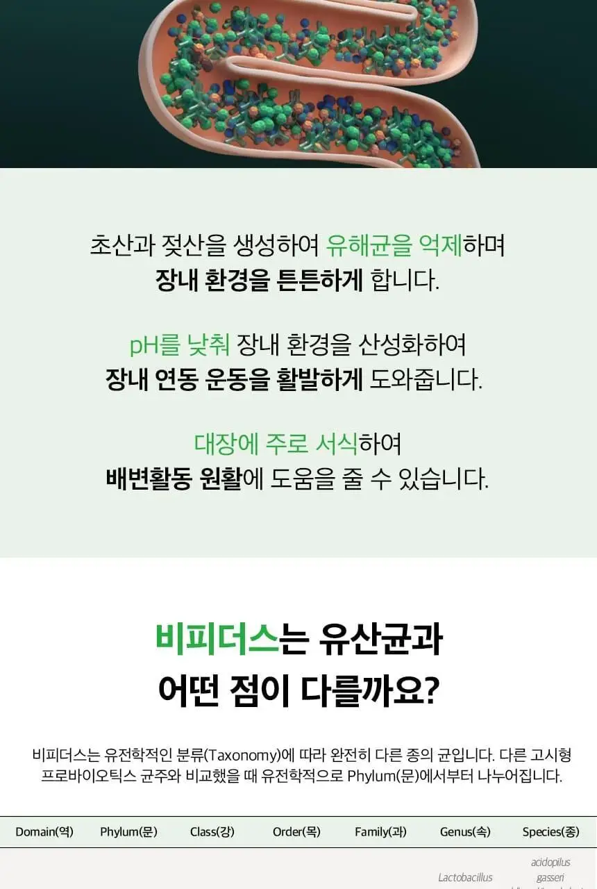 비피오 트루 비피더스 100 30캡슐 (1개월분) 상세페이지 15