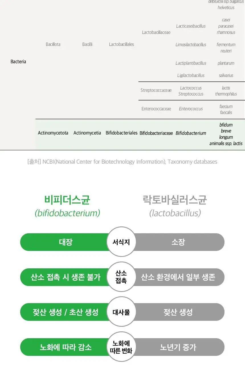 비피오 트루 비피더스 100 30캡슐 (1개월분) 상세페이지 16
