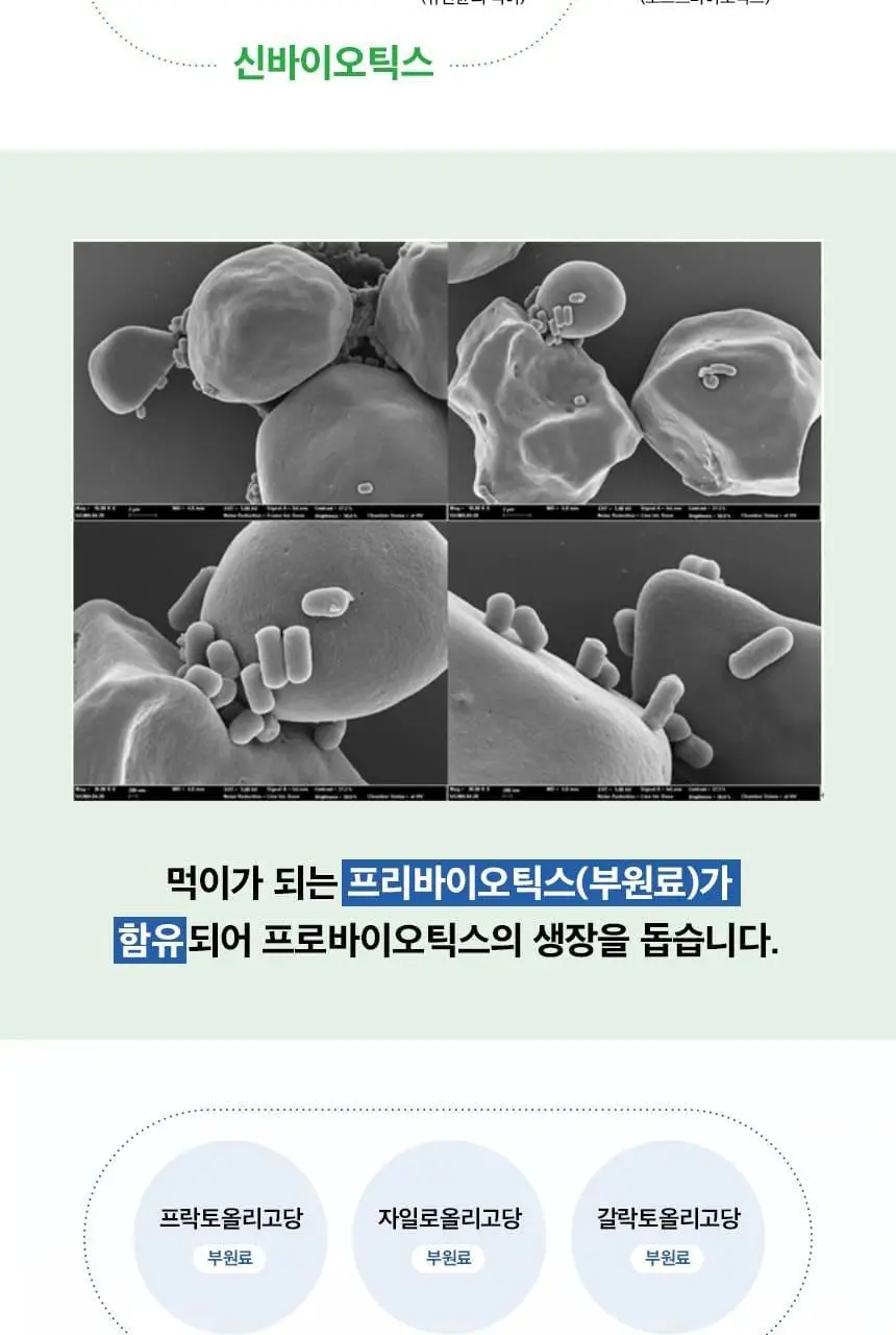 비피오 트루 비피더스 100 30캡슐 (1개월분) 상세페이지 21