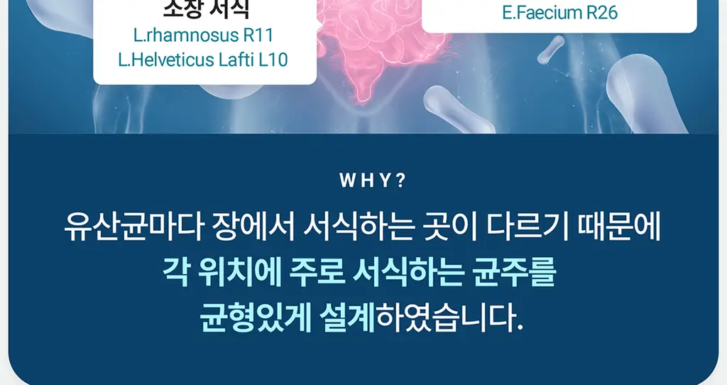 테일러라이프 프로바이오틱스 센서티브 유산균 30캡슐 (1개월분) 상세페이지 40