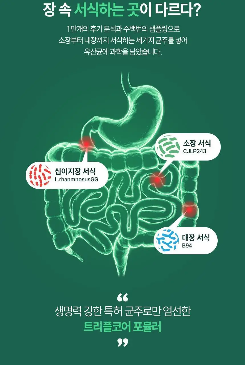 CJ 바이오코어 건강한 생유산균 100억 30포+10포 기획 (40일분) 상세페이지 10