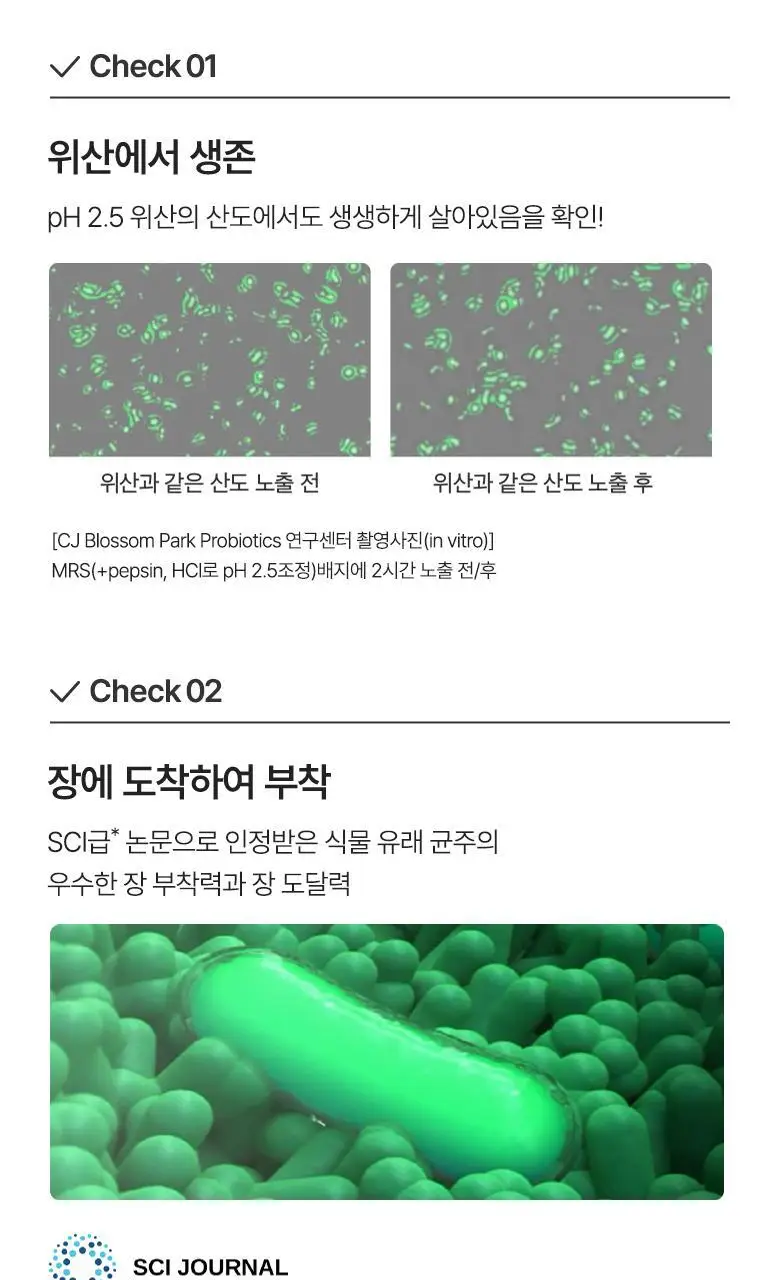 CJ BYOCORE 데일리 유산균 30포 (1개월분) 상세페이지 6