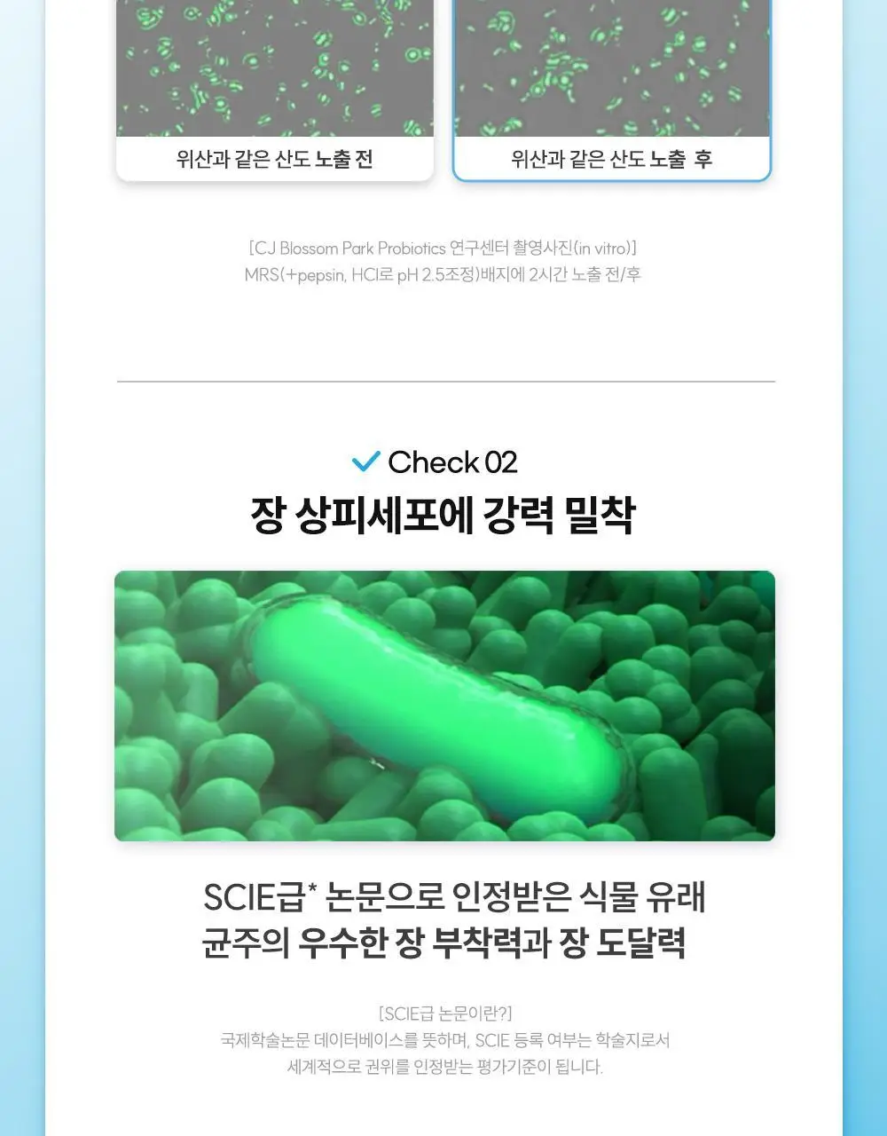 CJ웰케어 장건강 유산균 30캡슐 (30일분) (OY단독) 상세페이지 13