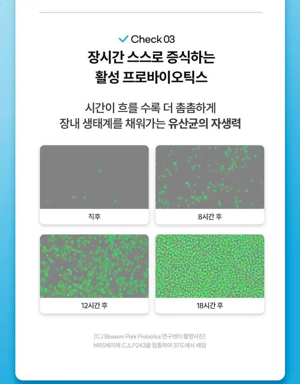 CJ웰케어 장건강 유산균 30캡슐 (30일분) (OY단독) 상세페이지 14