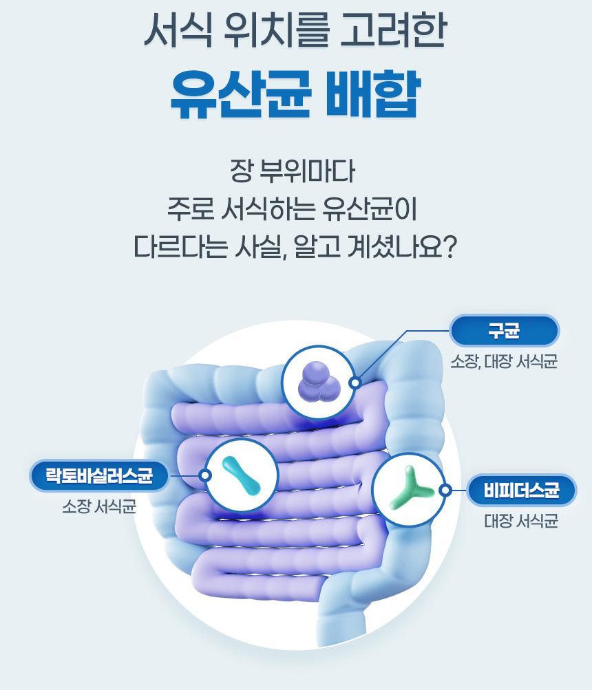 GNM 100억 유산균 60캡슐 1박스(2개월분) 상세페이지 29