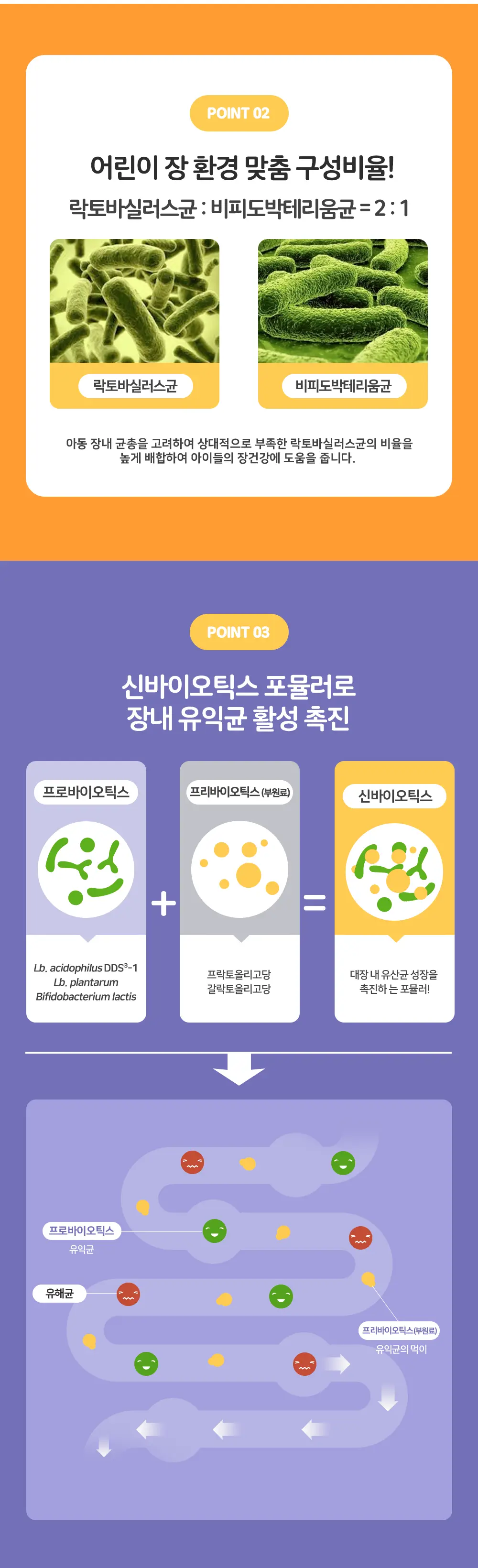 BNR17 키즈유산균 비에날키즈 60정 (1개월분) 상세페이지 5