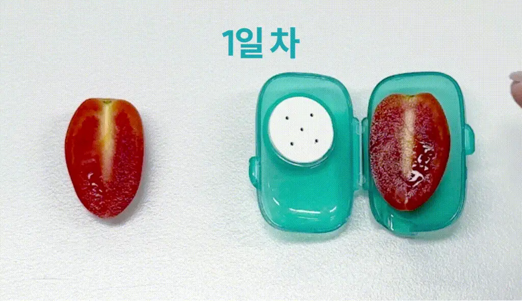 리브러쉬 모프 칫솔 살균캡 더블/단품 택1 상세페이지 8
