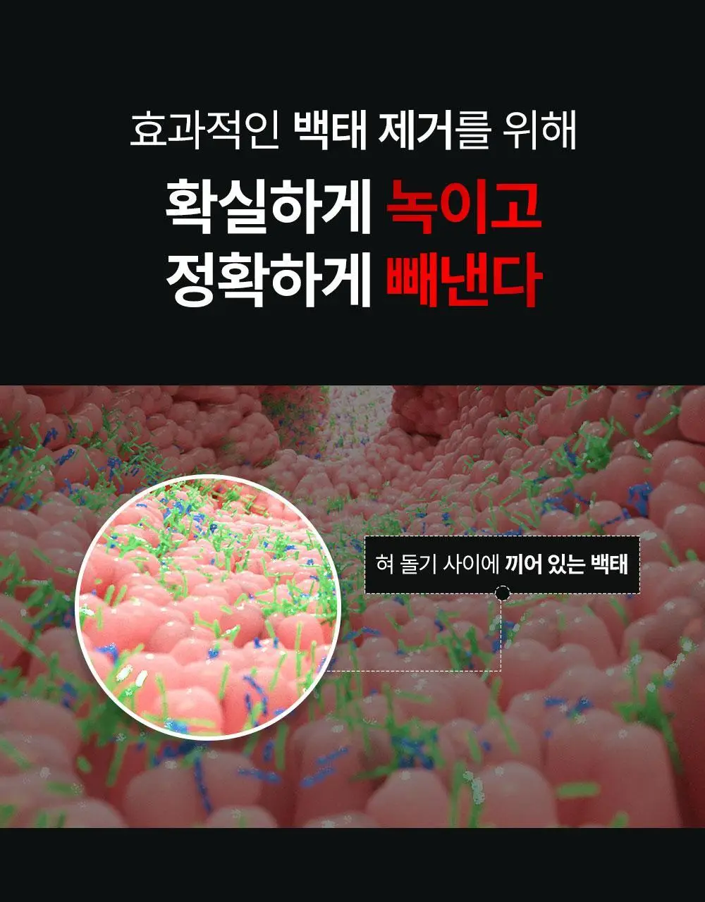 노도르 백태&구취 제거 2종 기획(고체가글 30정+혀클리너) 상세페이지 8