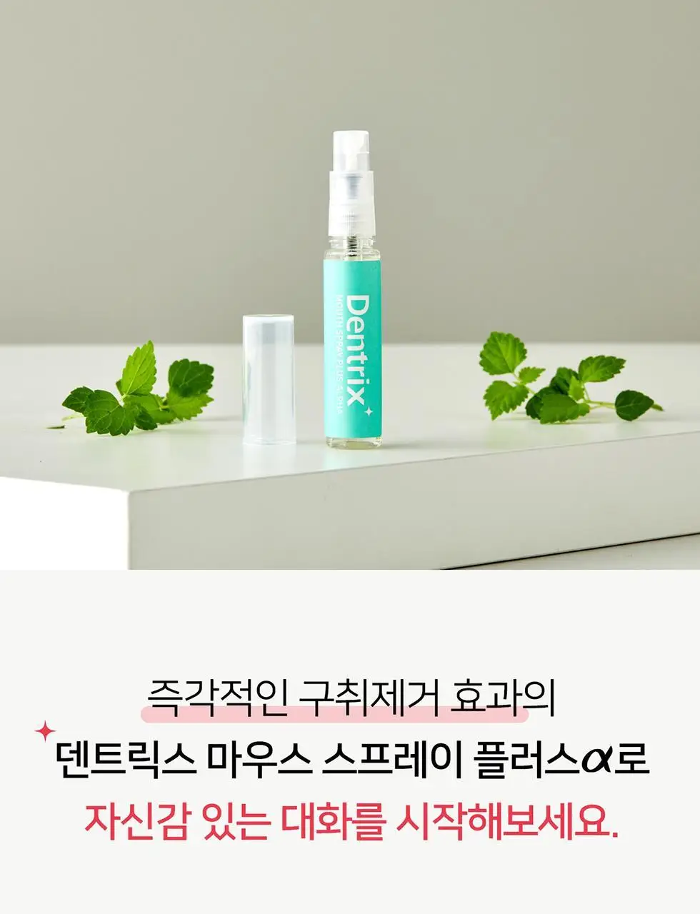 덴트릭스 마우스 스프레이 플러스 알파 민트향 7ml 상세페이지 4