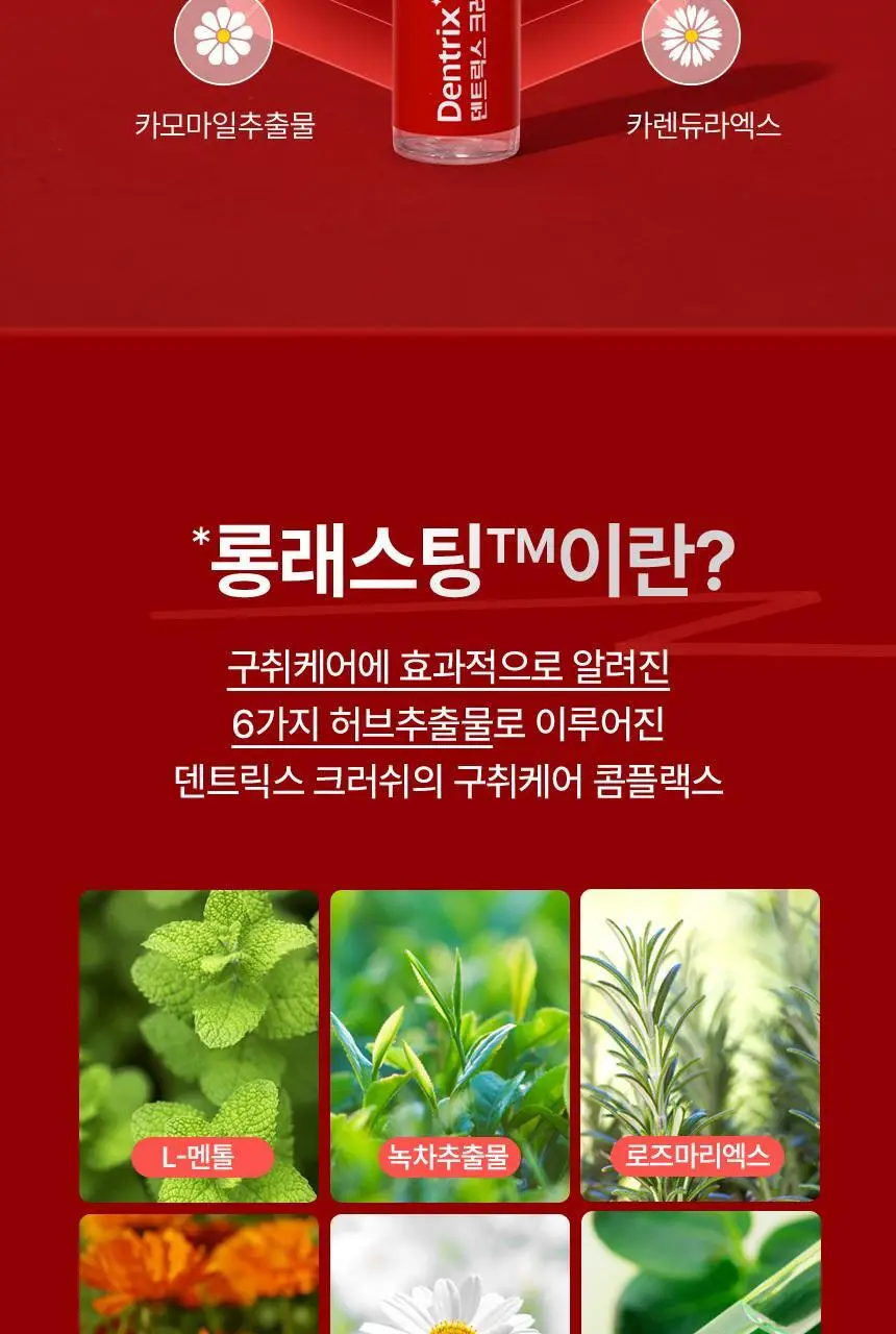 덴트릭스 크러쉬 마우스 스프레이 7ml 상세페이지 12