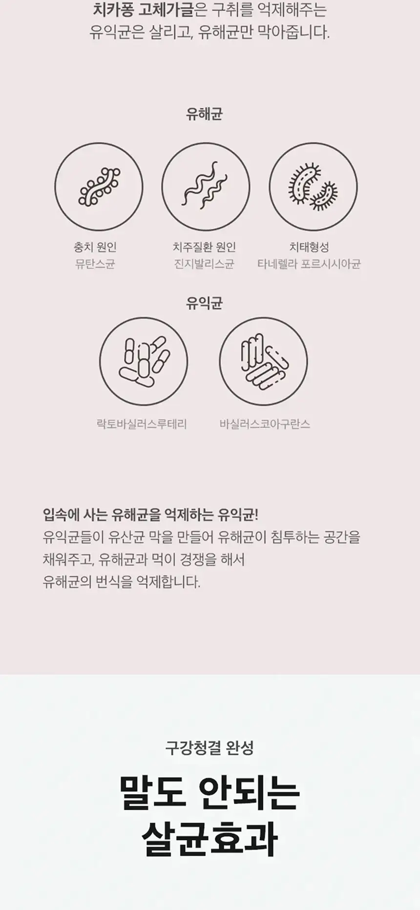 라이브오랄스 고체가글 치카퐁 (18개입) 상세페이지 24