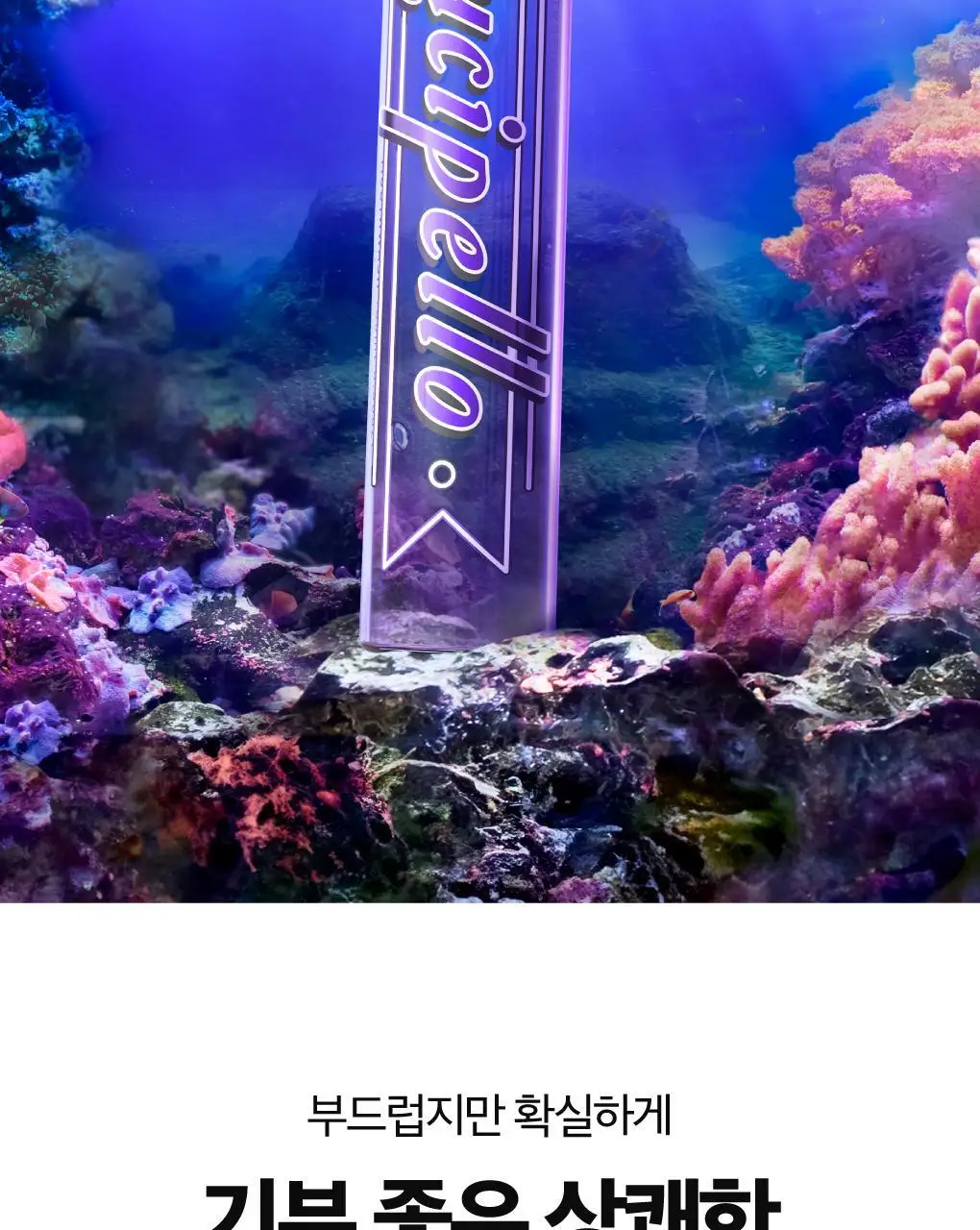 루치펠로 검케어 트로피칼오션 가글 100ml 상세페이지 2