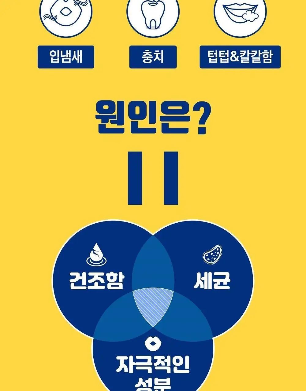 모과글 가글액 300ml 상세페이지 8