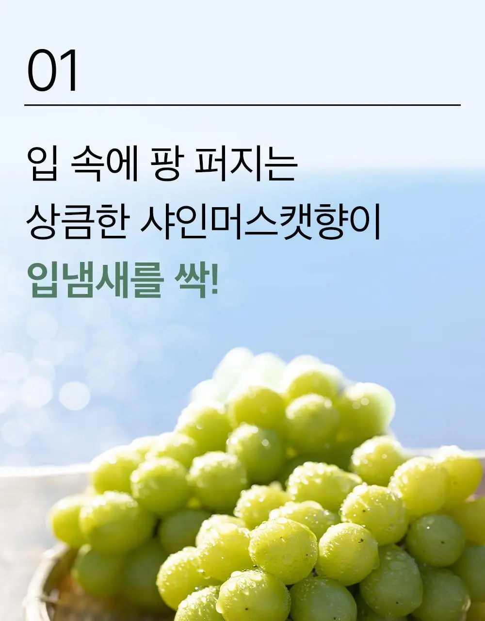 믹순생활 마일드 가글(샤인머스캣향) 500ml 상세페이지 8
