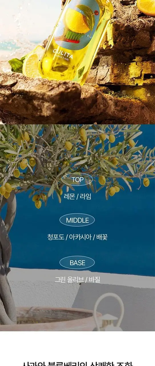 쿨리타 프리미엄 가글 500ml 3종 택1 상세페이지 3