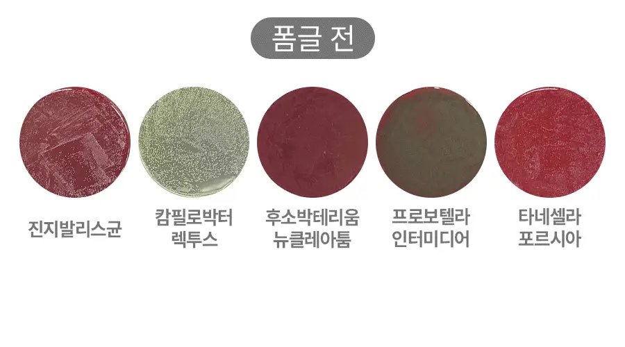 폼글 거품 가글 슈퍼민트 50ml 상세페이지 24