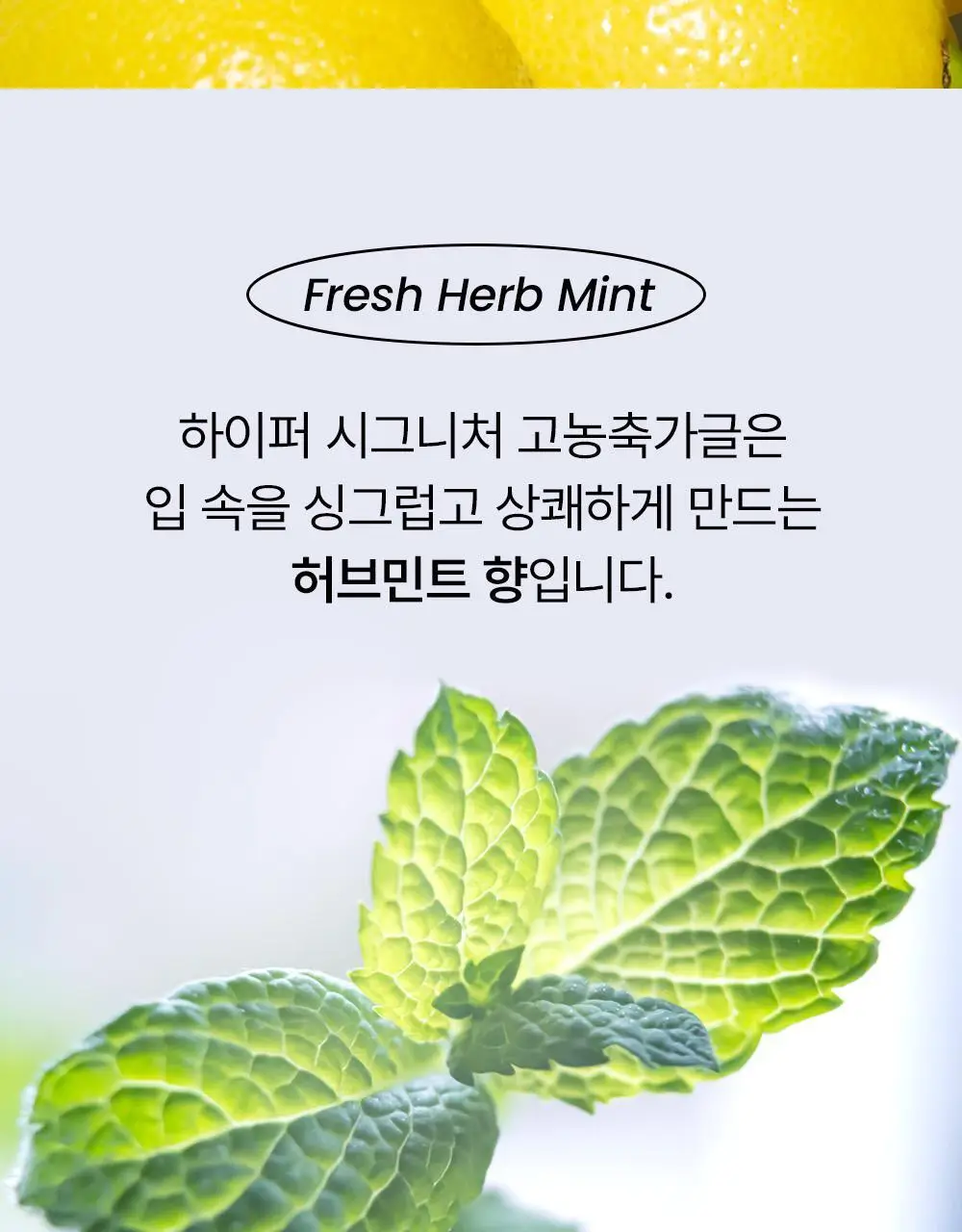 하이퍼 시그니처 유산균 함유 농축가글 30ml 상세페이지 47